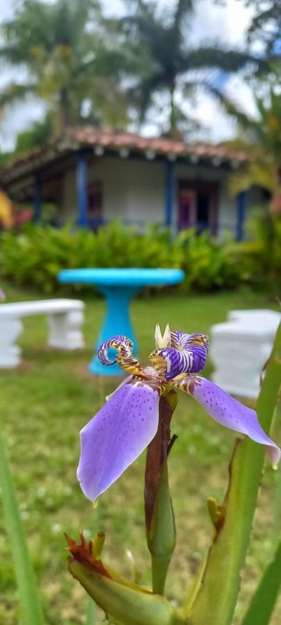 Finca Hotel Villa Del Sol ปูเอโบล ตาเปา ภายนอก รูปภาพ